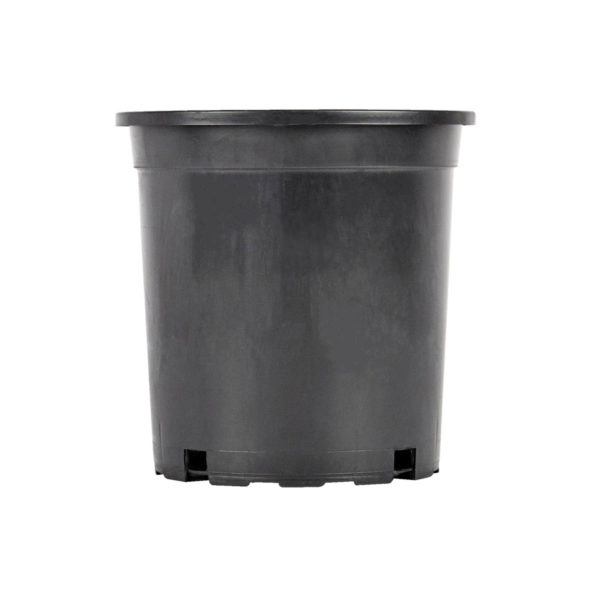 Flower Pot 2lt Black